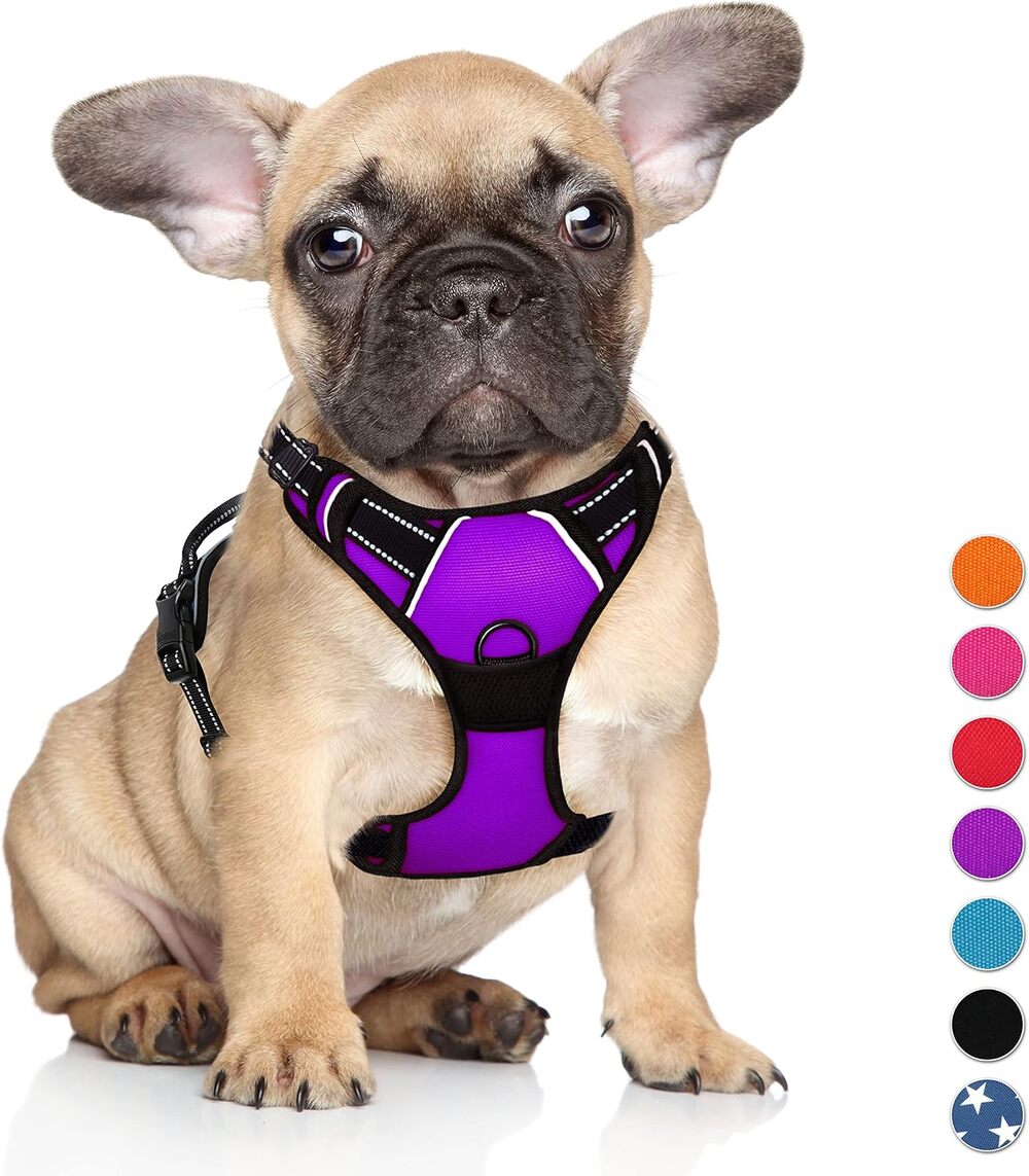 BARKBAY No Pull Dog Harness Reflective Dog Harness, Purple, S